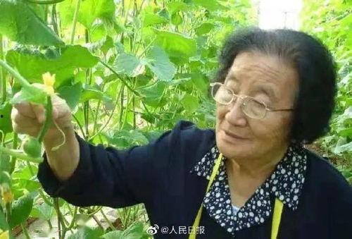 娱乐吃瓜酱广东人辣度